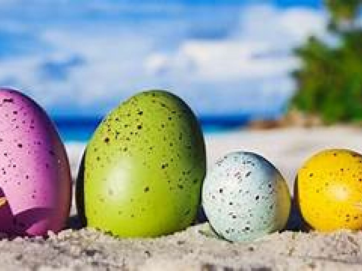PASQUA E PONTI IN B&B 